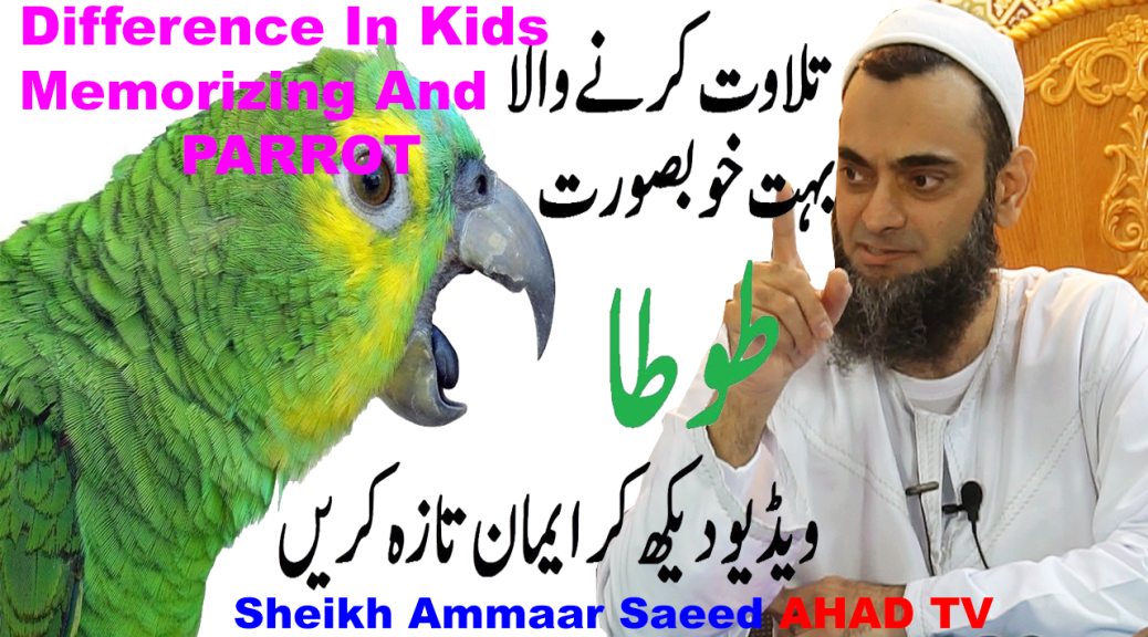 Parrot Reciting Child Quran Memorizing Muslim Kids Raising Islamic Teaching Sheikh Ammaar Saeed